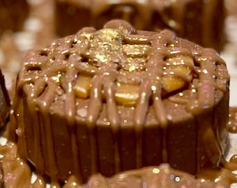Chocolate covered Oreo’s | Caramel with pink Sea Salt | Gourmet Ghirardelli | Awesome Gift | Milk chocolate drizzle  Price includes shipping