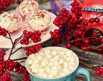 2 LARGE Gourmet Ghirardelli Hot Chocolate Bombs - Hot Cocoa Bombs with Rich & Creamy Chocolate Ganache. BEST tasting cocoa bombs on ETSY!