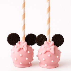Minnie  Birthday Treats: Cookies, Cake Pops, Pretzels, Rice Krispy Pops, Chocolate Covered Oreos
