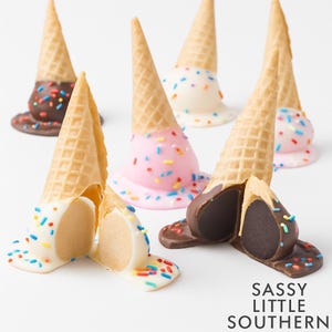 Puede incluir: Una variedad de conos de helado con chispas de colores. Algunos conos est&aacute;n sumergidos en recubrimientos blancos, rosas y de chocolate. La imagen incluye el texto "SASSY LITTLE SOUTHERN".