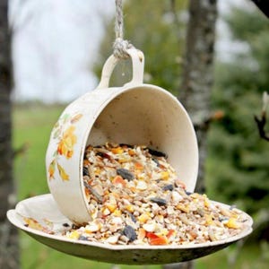 May include: A repurposed teacup bird feeder. The white teacup, adorned with yellow floral patterns, is suspended upside down, spilling birdseed onto a matching saucer. A natural rope is used for hanging. The feeder is set against a blurred green background.