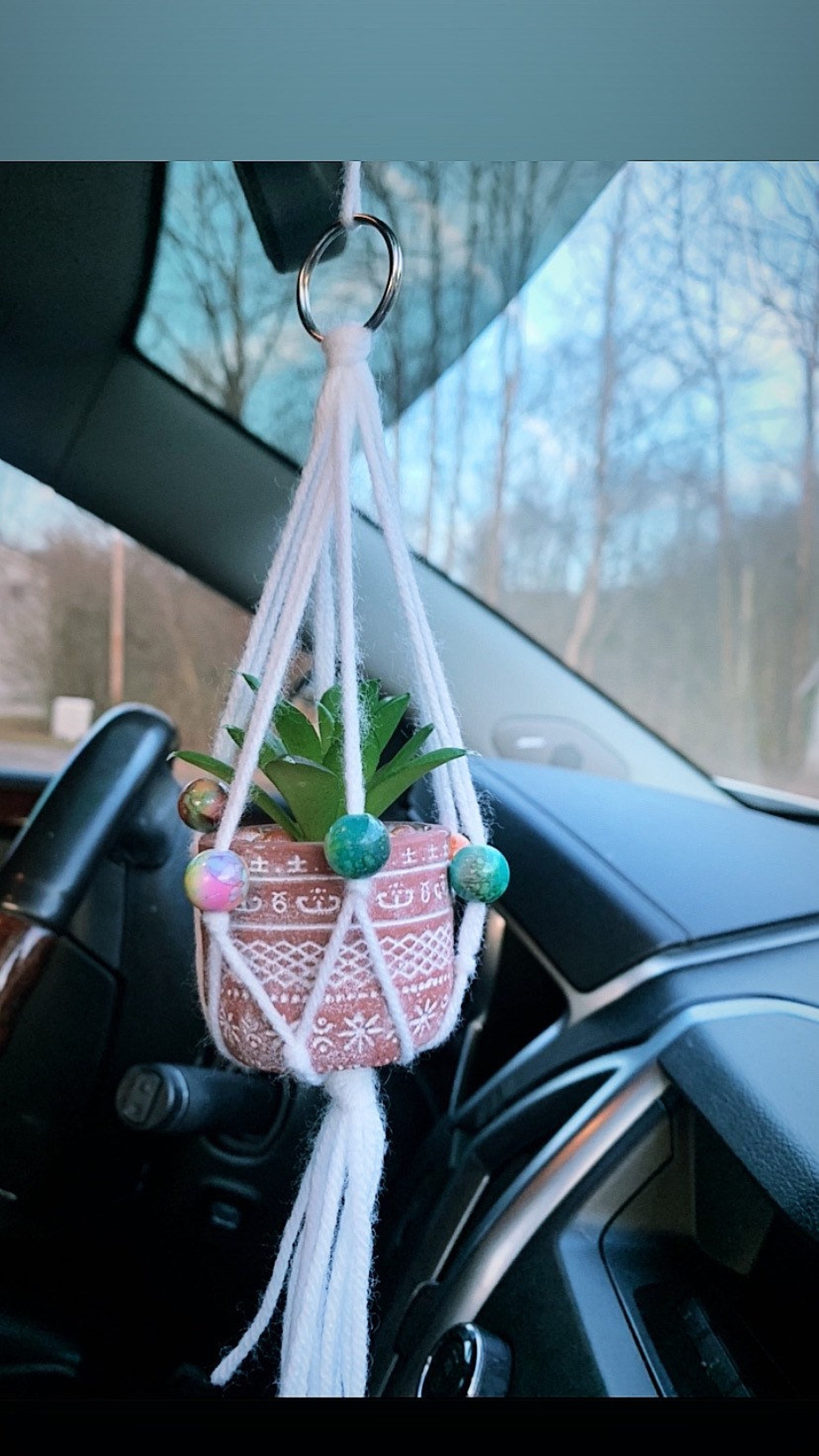 Rear view mirror plant hanger plant included Etsy