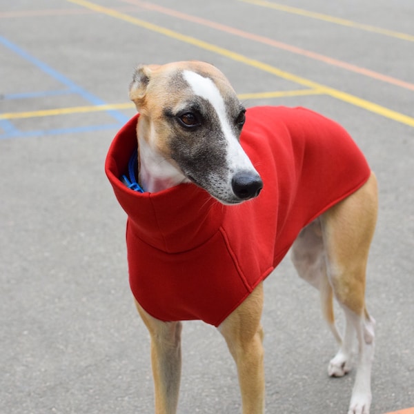 Pull Sighthound - Le Quotidien Sans Manches