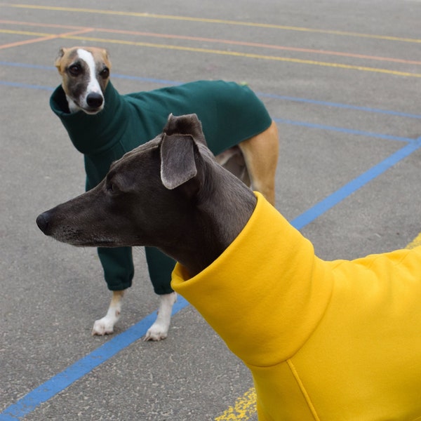 Sighthound Jumper - The Daily Longsleeve