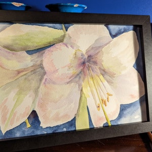 Watercolour painting amaryllis flower watercolor watercolour art original white pink blue housewarming home decor wall hanging A4 amarylis