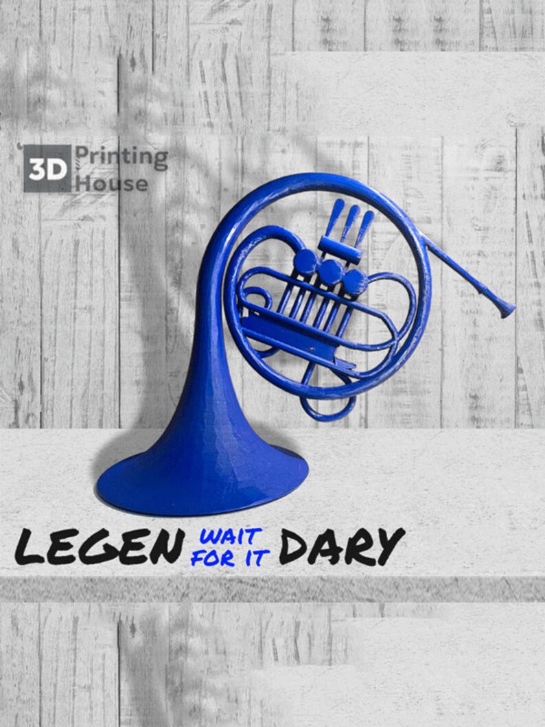 Horn, How I Met Your Mother, Romantic Gift, Proposal, Large Gesture