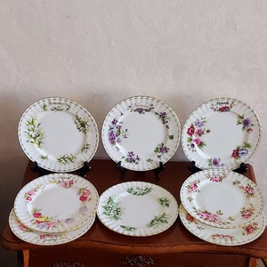 Royal Albert Bone China Flor do mês, vários pratos de café da manhã de meses diferentes. Ricamente decorado com flores e debrum dourado.