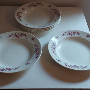 Very beautifully painted deep plates unnoticed, but very plausible from the Dutch manufacturer P. Regout from the nineteenth century.