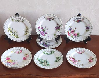 Royal Albert Bone China Flower of the Month multi-plate, 16 cm, featuring various months. Richly decorated with flowers and a gold rim.