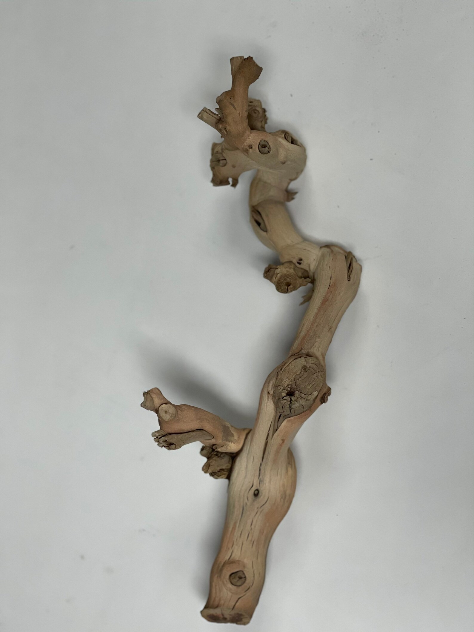 18 Dried Sandblasted Grapevine Wood Branch Etsy