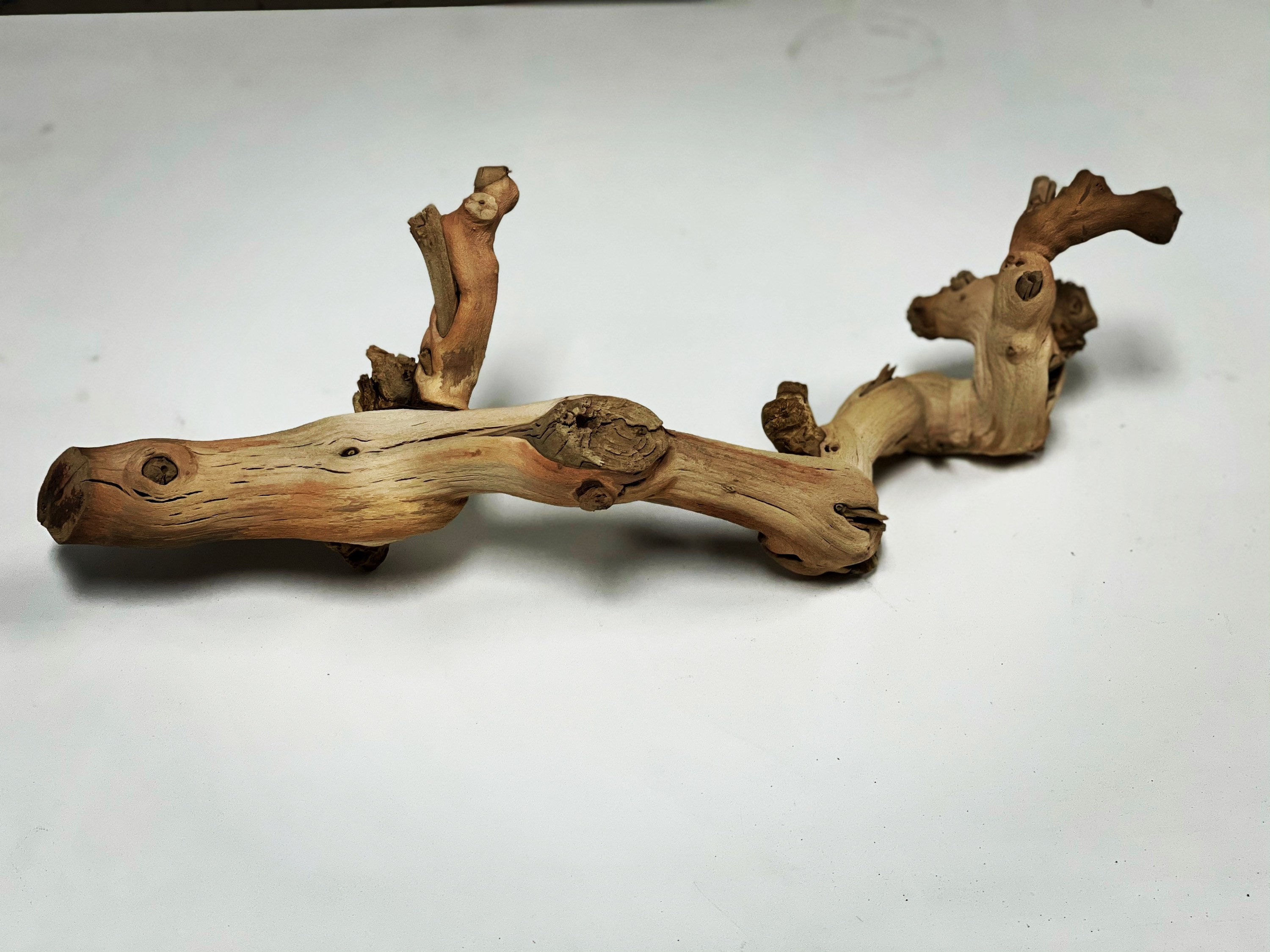 18 Dried Sandblasted Grapevine Wood Branch Etsy