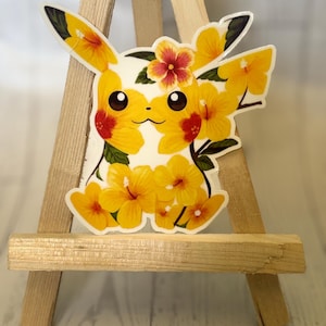 Pikachu/Pokémon