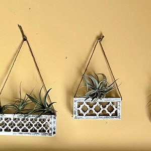 May include: Four white hanging planters with intricate cut-out designs, each holding a small green air plant. The planters are suspended from the ceiling with twine.