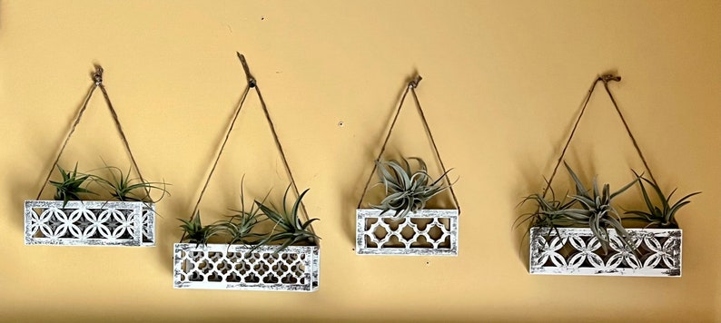 May include: Four white hanging planters with intricate cut-out designs, each holding a small green air plant. The planters are suspended from the ceiling with twine.