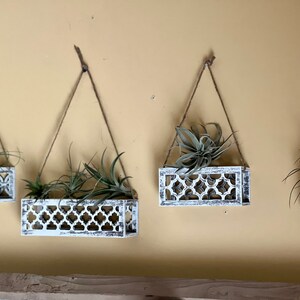 May include: Four white hanging planters with a geometric design, each holding a green air plant. The planters are suspended from the ceiling with twine.