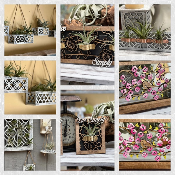 Air Plant Holders, BUNDLE 4 Different Styles, 3 different patterns, SVG Digital Download for Glowforge or Laser Not a Physical Item