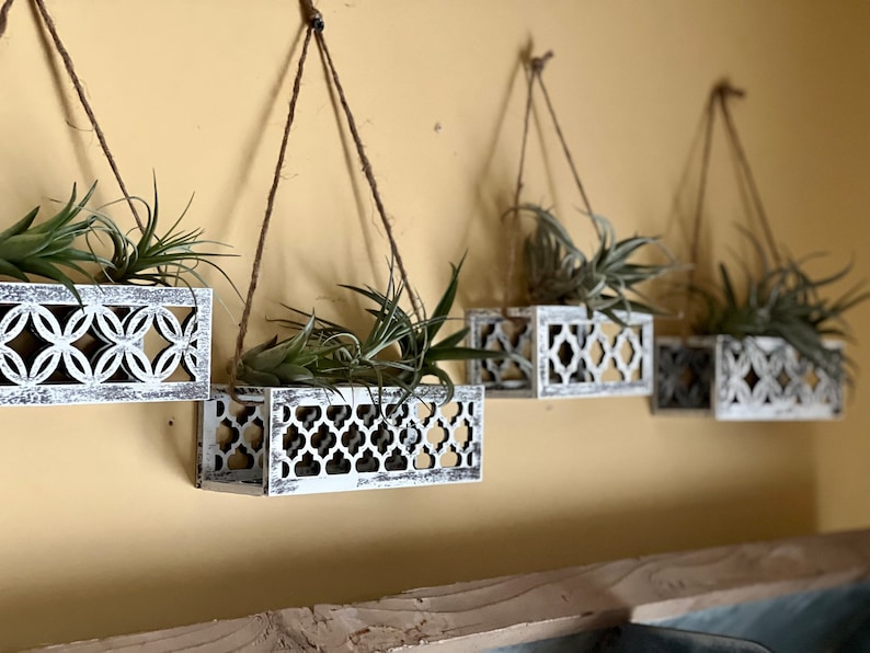 May include: Four white hanging planters with intricate cut-out designs, each holding a green air plant. The planters are suspended from the ceiling with twine.
