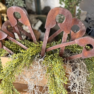 May include: A decorative display featuring several large, rusty metal safety pins. The pins are arranged in a wooden container filled with green and white foliage, creating a unique and vintage-inspired decorative piece.