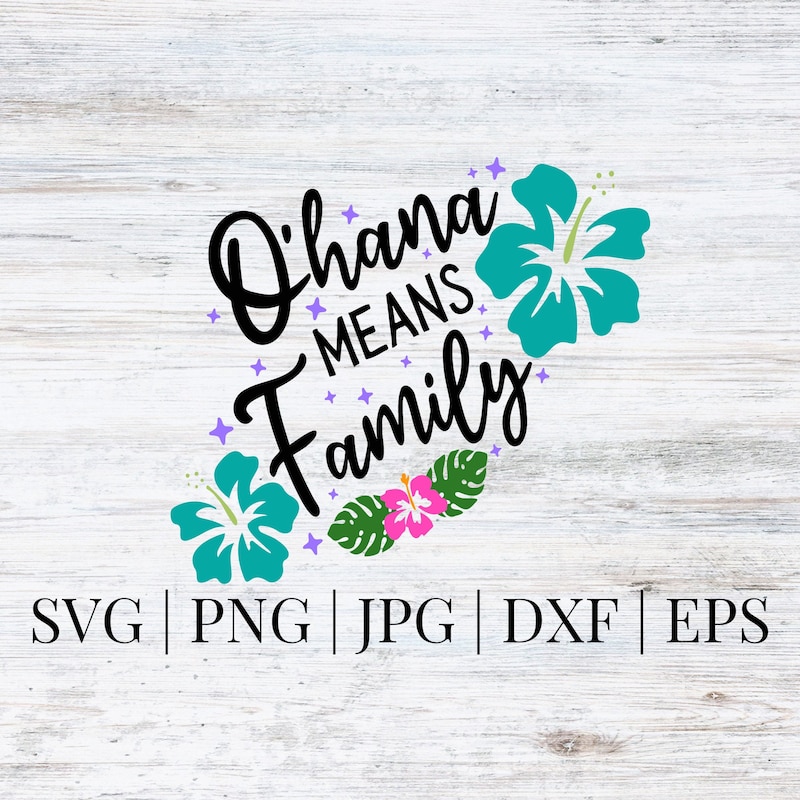 OHANA FAMILY SUPPORT STRENGTHENING PROGRAMS visual data 5