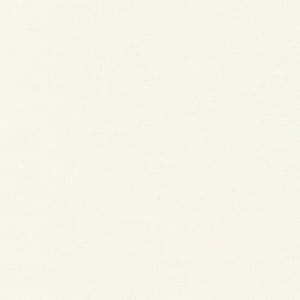 Puede incluir: Primer plano de una tela color crema con una sutil textura tejida. El material parece ser un tejido liso, con un tono ligeramente blanquecino. La tela está uniformemente iluminada, mostrando los finos detalles del tejido.