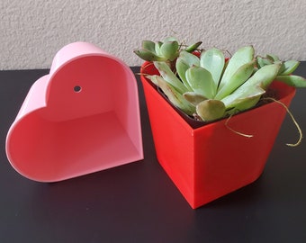 Heart Succulent Planter with Drip Tray: Valentine's Gift
