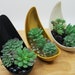 see more listings in the More 3D Printed Planters section