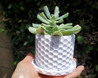 Honeycomb Planter: White Hexagonal Indoor Plant Pot with Drip Tray