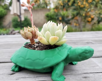 Turtle Succulent Planter: Lightweight Animal Planter