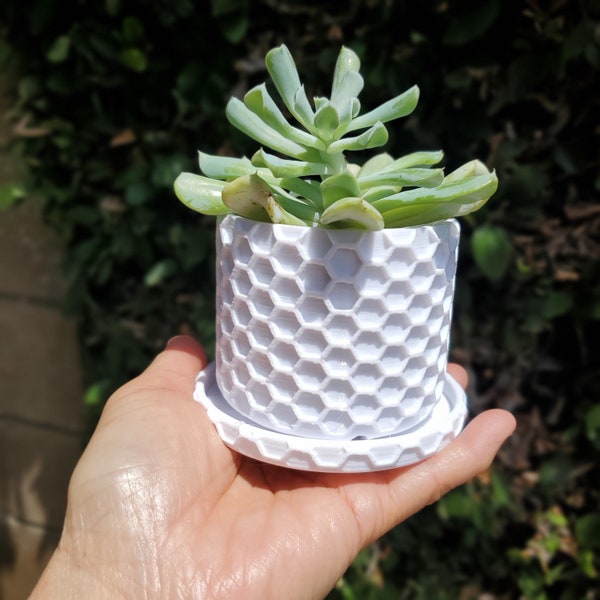 Honeycomb White Planter with Attached Drip Tray, Hexagonal Pattern Planter, Indoor Small Plant Pot, Lightweight Durable Planter