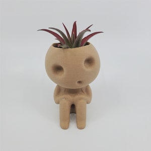 May include: A small, brown, ceramic planter shaped like a person with a small air plant growing out of the top of its head.