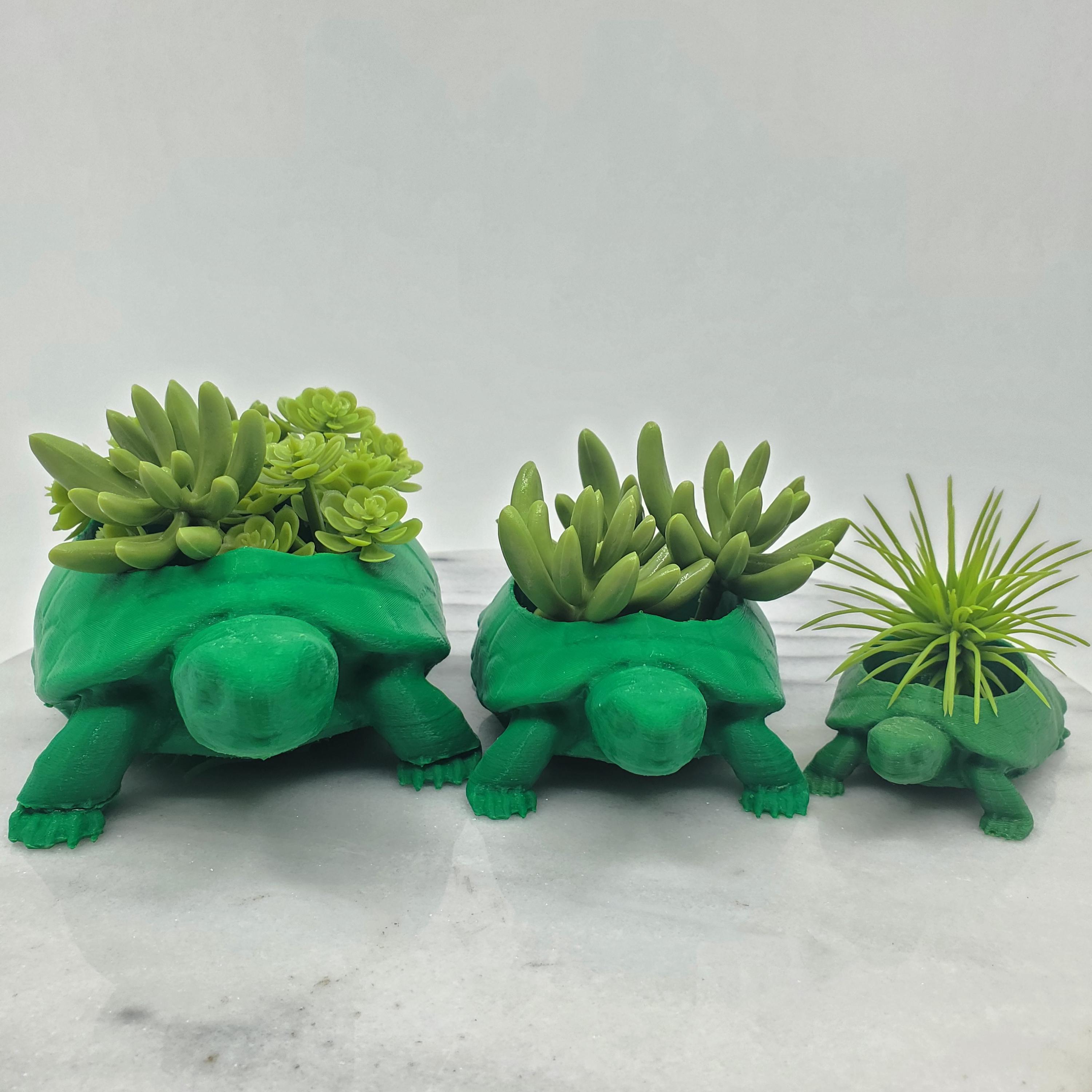 ceramic plant pot Ceramic Animal Planter Assortment main image 0