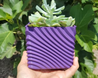 Square Wave Succulent Planter with Drip Tray