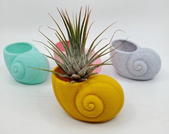 Seashell Shape Planter, Nautical Theme Planter, Small Indoor Plant Pot