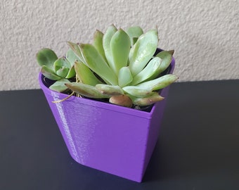 Purple Heart Shape Planter, Succulent Planter with drain hole and drip tray