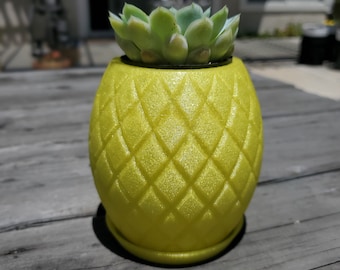 Pineapple Succulent Planter, Food Theme Party Decor