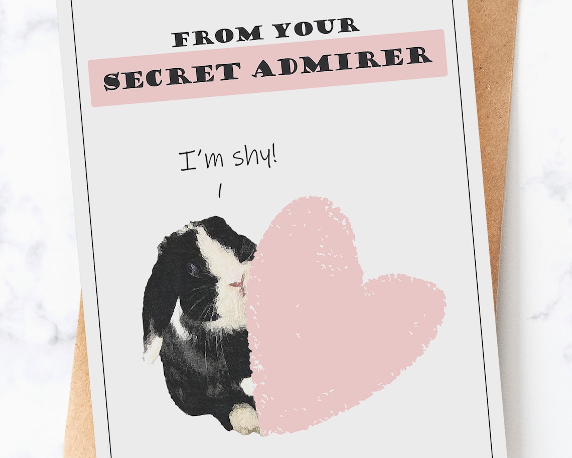 A secret admirer Valentine PDF card A6 or 5x7 print Etsy