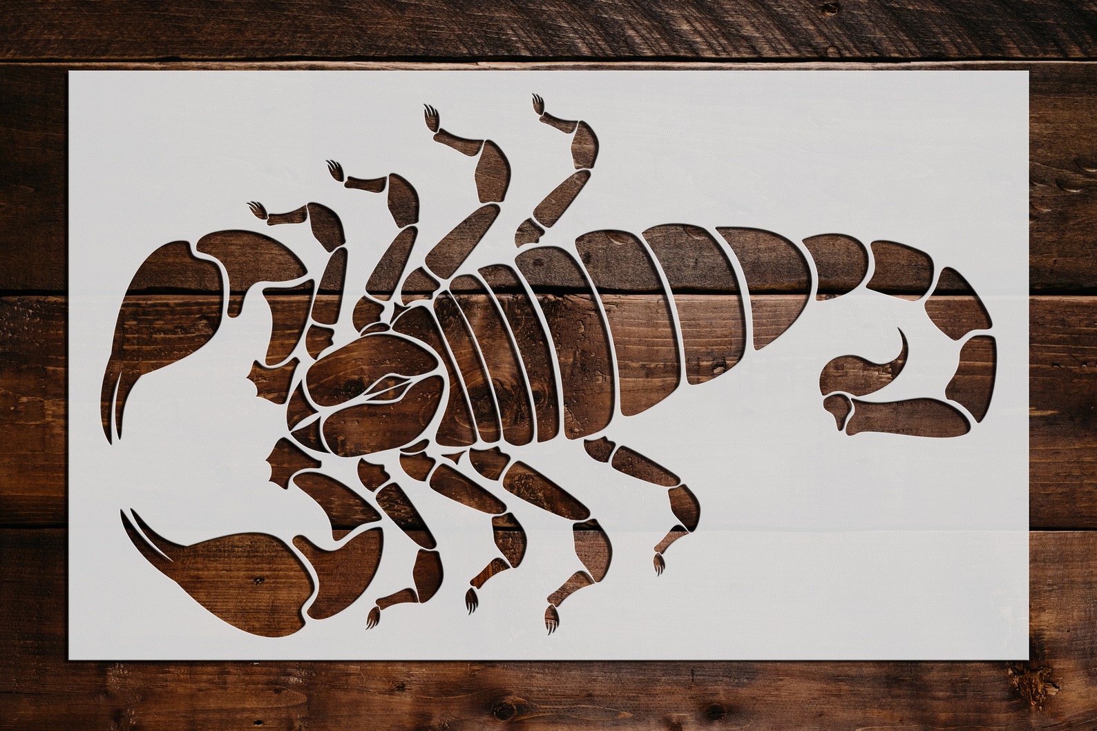 Scorpion Stencil Reusable Scorpion Stencil DIY Craft Etsy