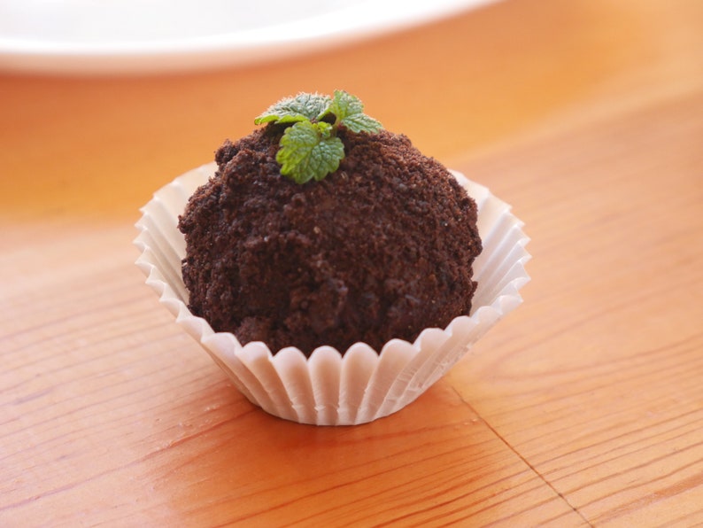 Photo of a chocolate peppermint truffle. with a mint garnish.