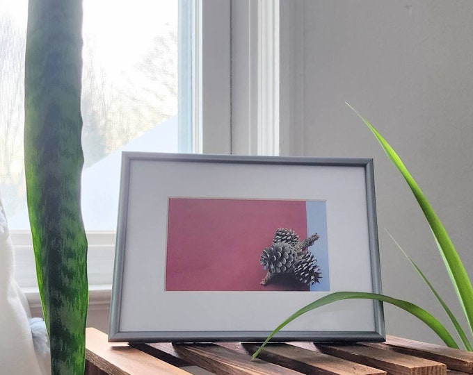 Pinecone Creative