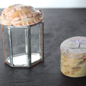 May include: A clear, hexagonal glass container with a seashell on top, next to a small, round, marble-like box with a floral design. The seashell is tan and white. The box has a light pink and gray flower.
