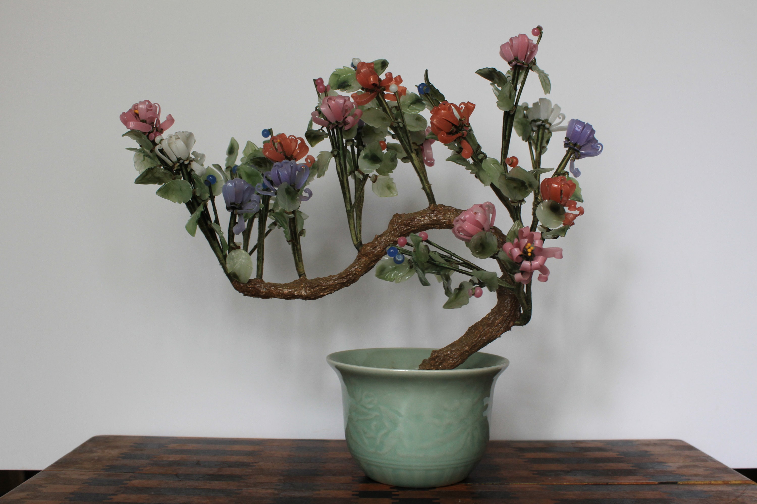 Chrysanthemum Bonsai - Etsy