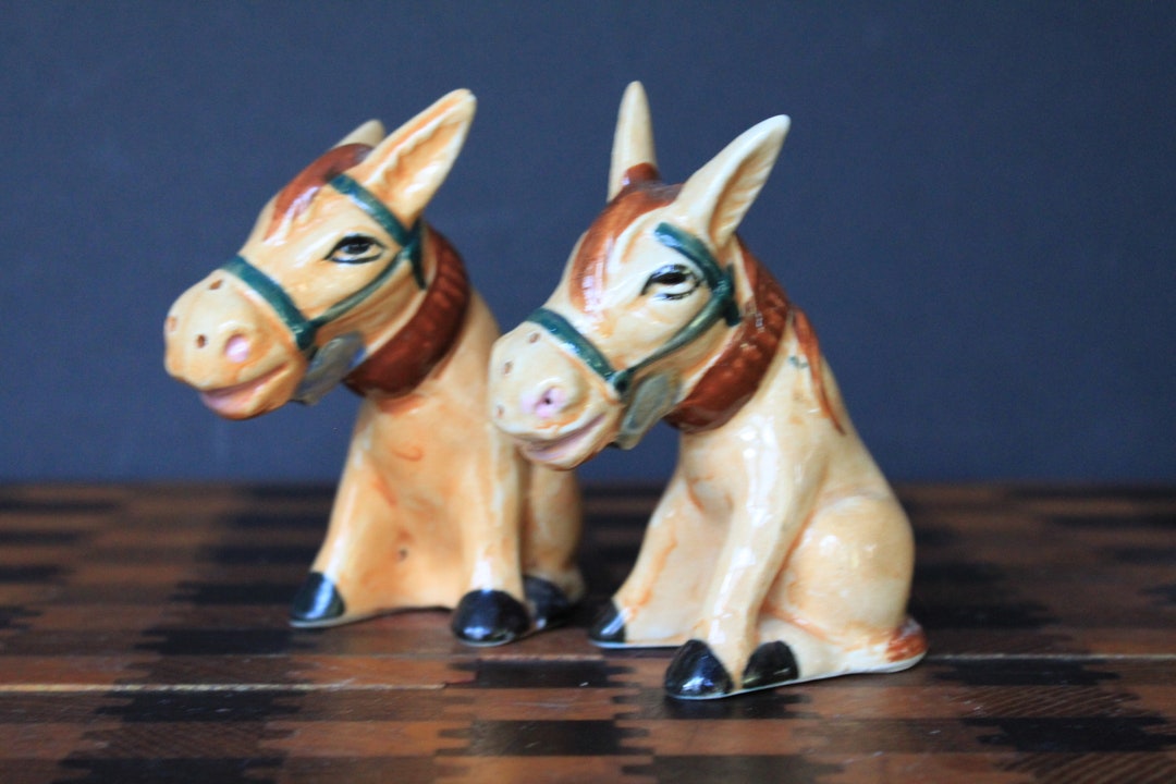 Donkey Salt and Pepper Shakers for Vintage Southwestern Table Etsy