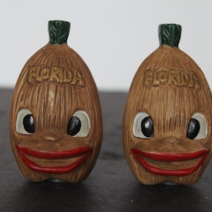 May include: Two vintage Florida-themed salt and pepper shakers. Each shaker is shaped like a smiling face with a brown, textured exterior, white eyes, and a red smile. The word "FLORIDA" is embossed on each shaker.