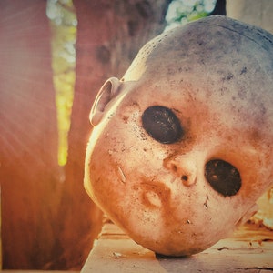 Doll Head in Sunshine Photo