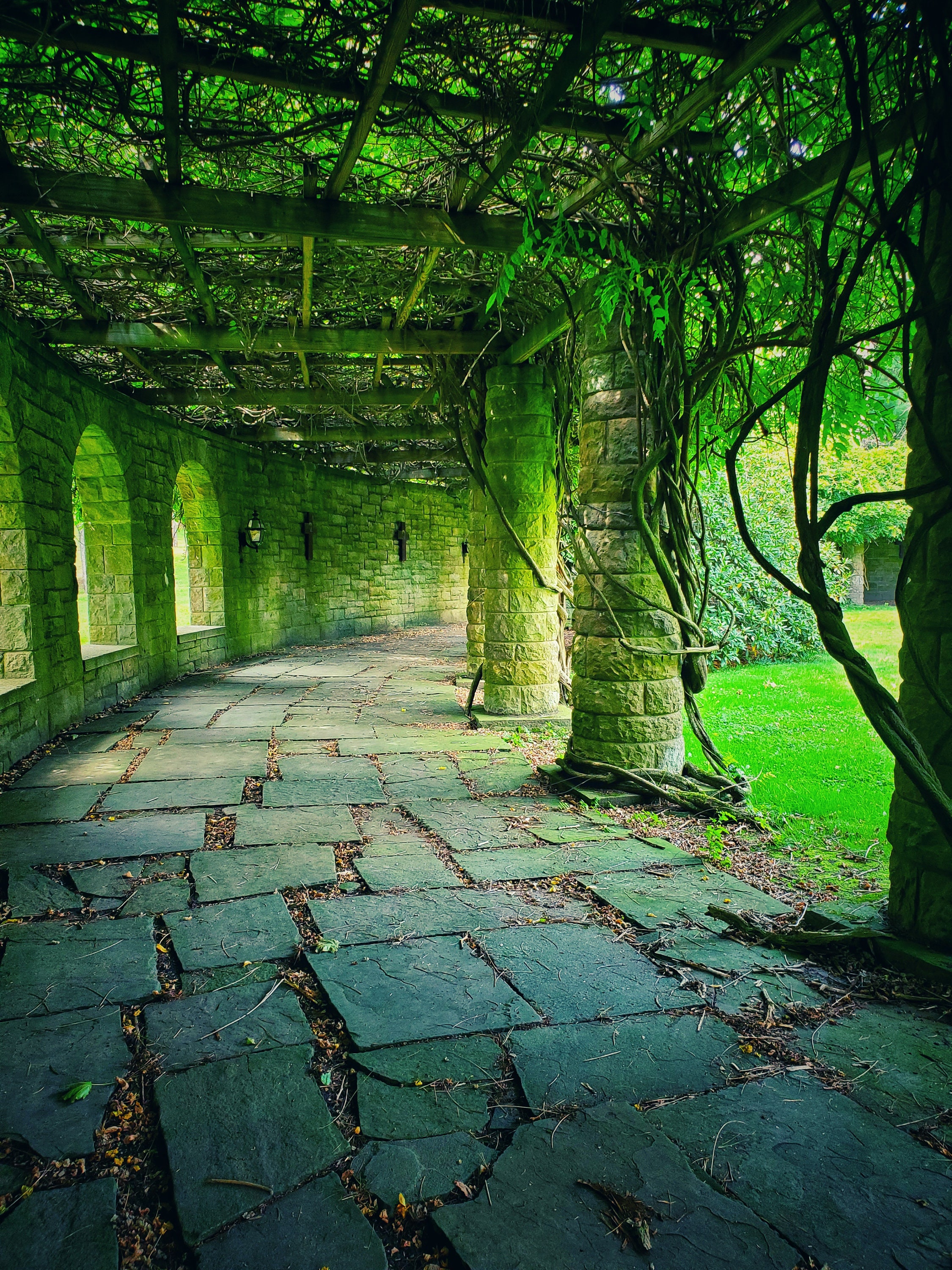Pothway Pathway Photo - Etsy