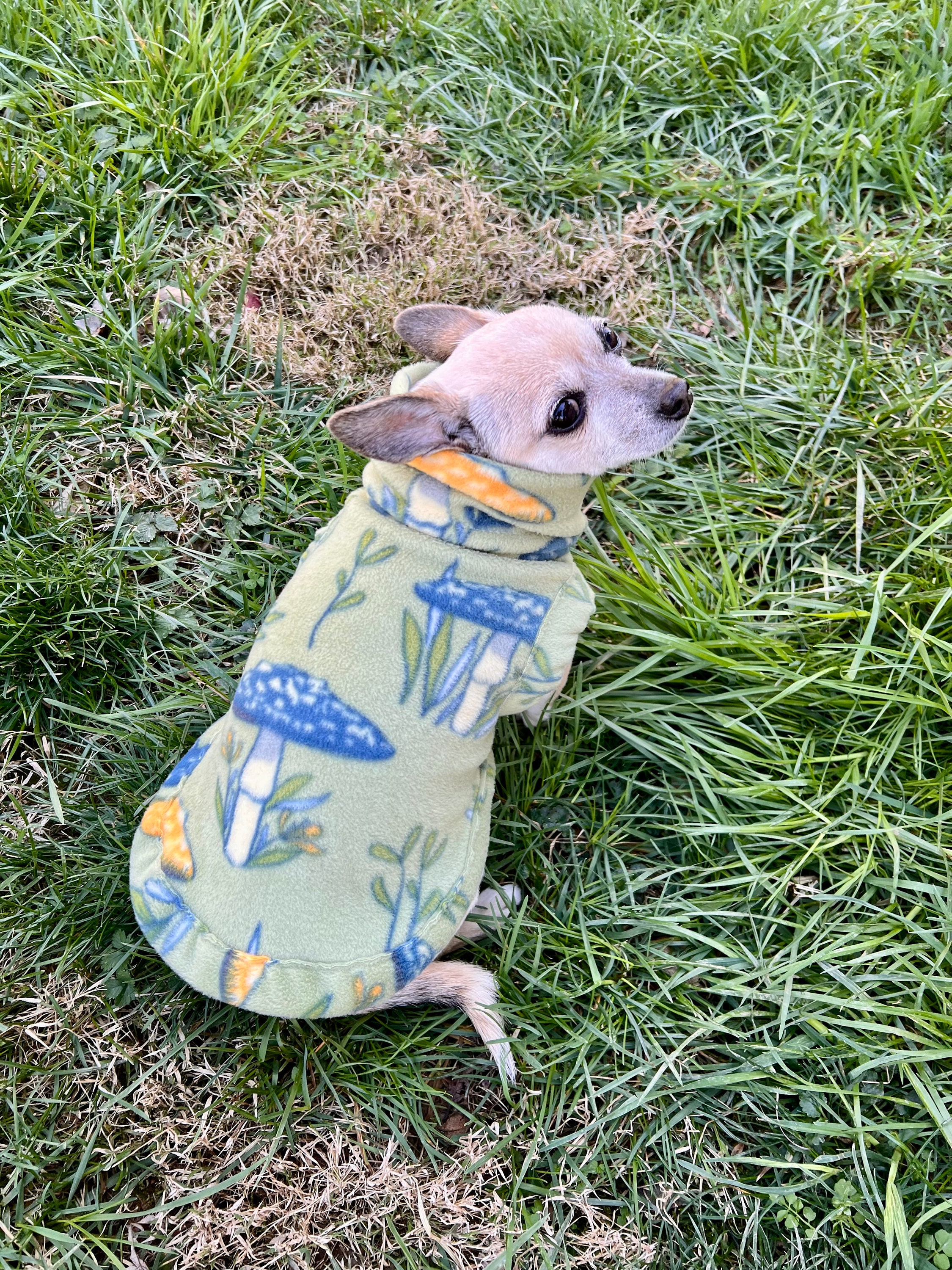 Grateful dead dog shirt sales
