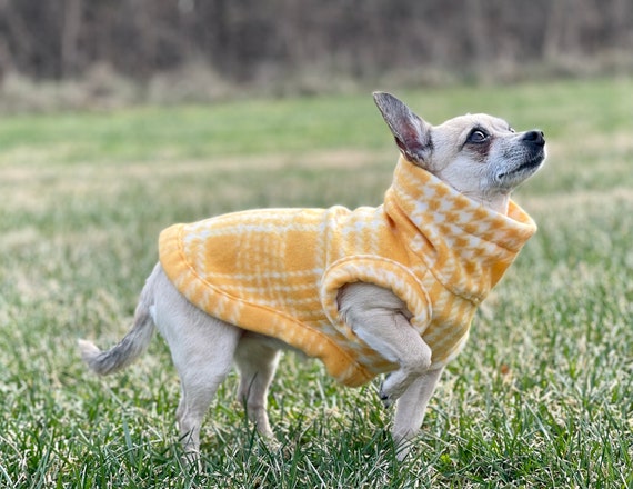 Chihuahua fleece sweater cheap