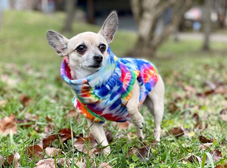 Chihuahua Fleece Sweater, Fits Other Small Dogs, Great Gift image 2