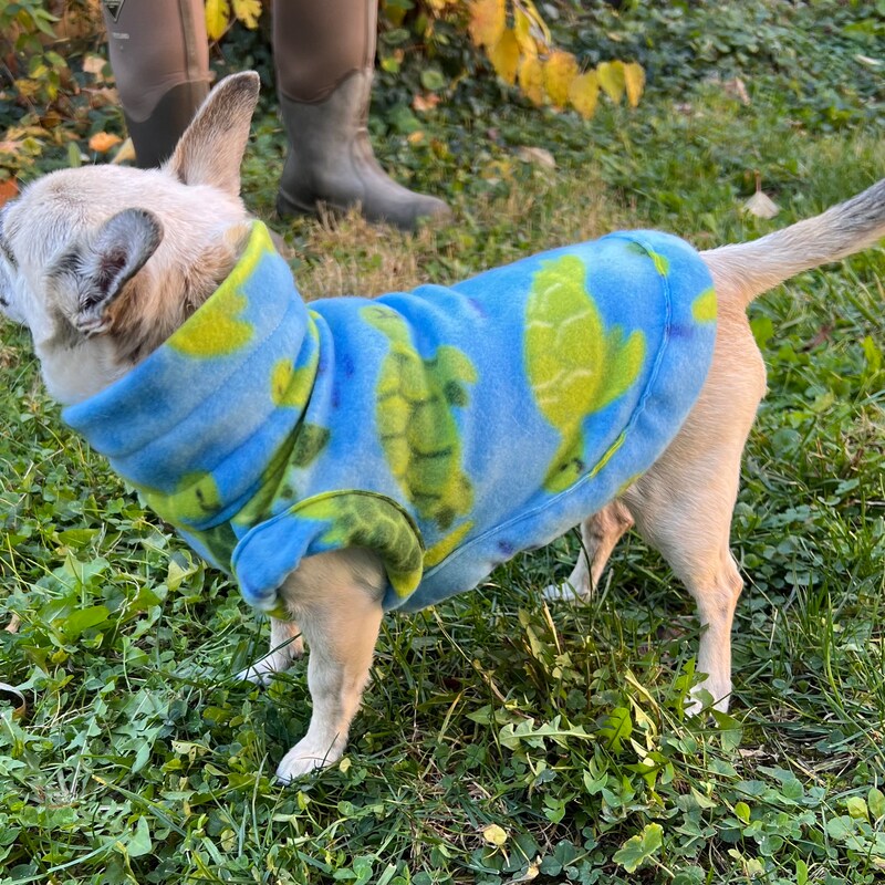 Chihuahua Sweater - Etsy