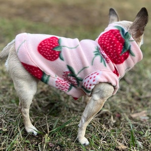 Strawberry Chihuahua Fleece Sweater, Fits Other Small Dogs, Great Gift